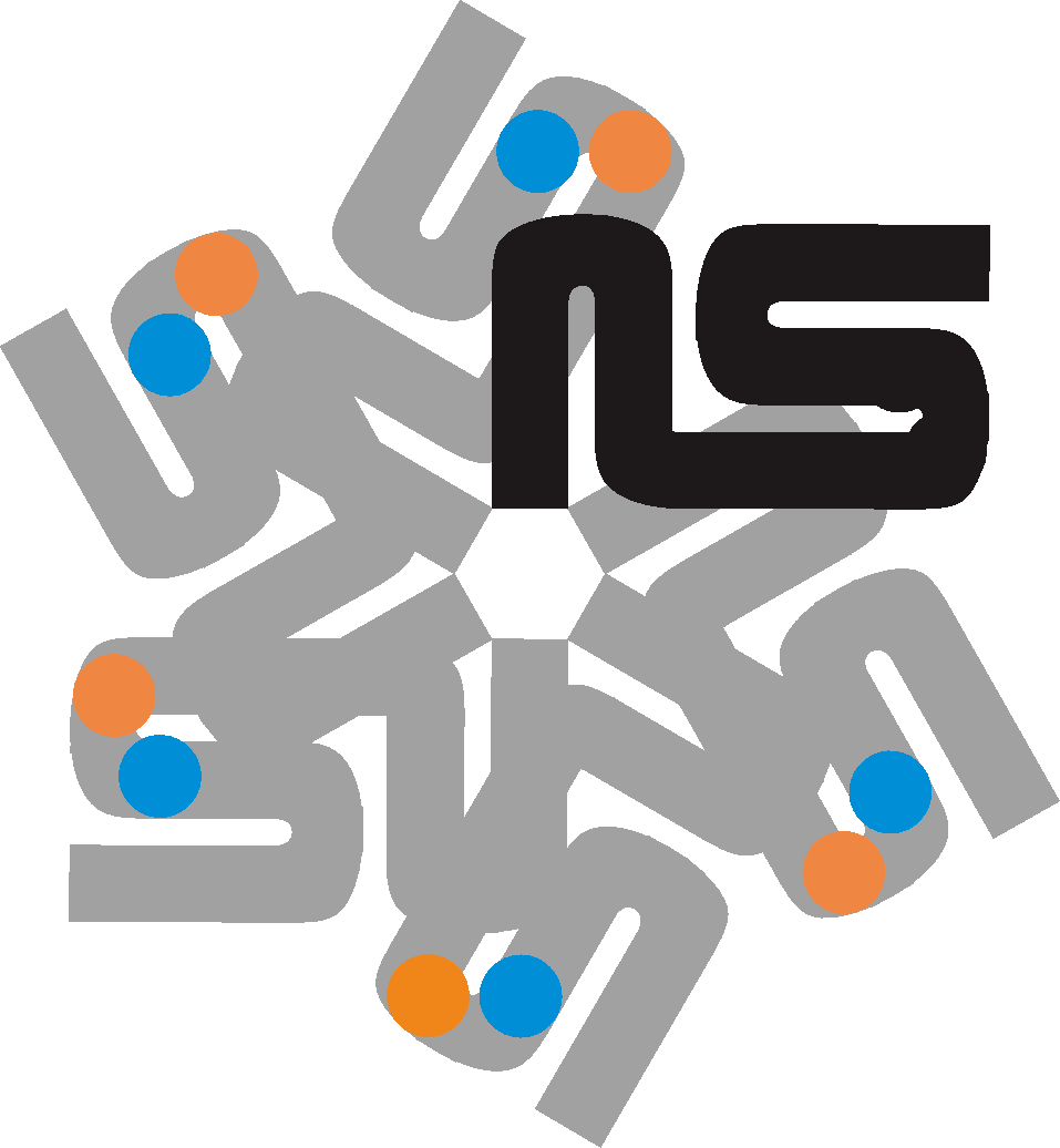 Logo IIS PSM